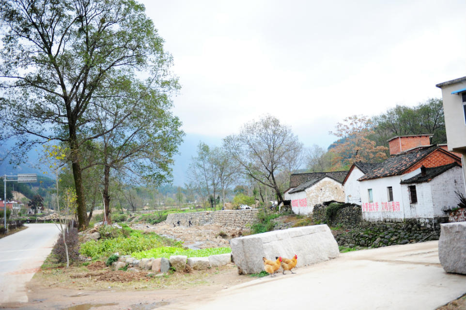 村口.jpg