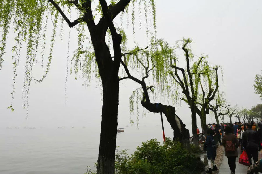 西湖6.jpg